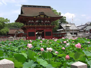 伊賀八幡宮と蓮池