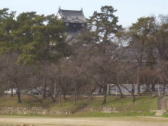 岡崎市　乙川河川敷
